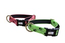 Sleddog Collar Reflex Click