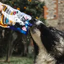 Doggyrade Duck