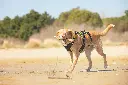 4 Season Broad Peak Harness