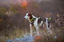 4 Season Broad Peak Harness